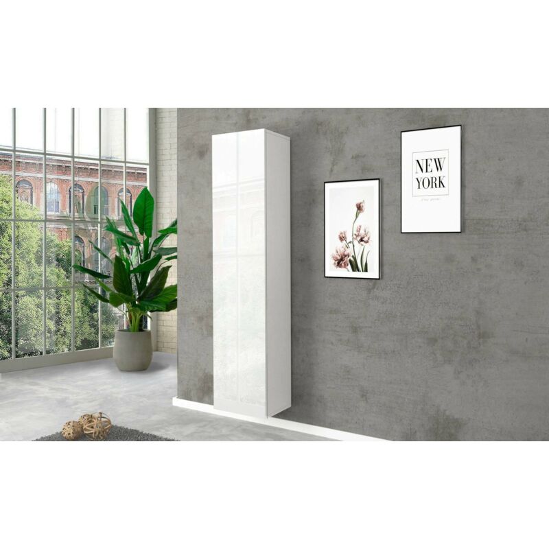 

Columna colgante con 1 puerta, Made in Italy, Mobiliario moderno, Armario multiusos con 1 puerta y 4 estantes, 40x30h180 cm, color blanco brillante