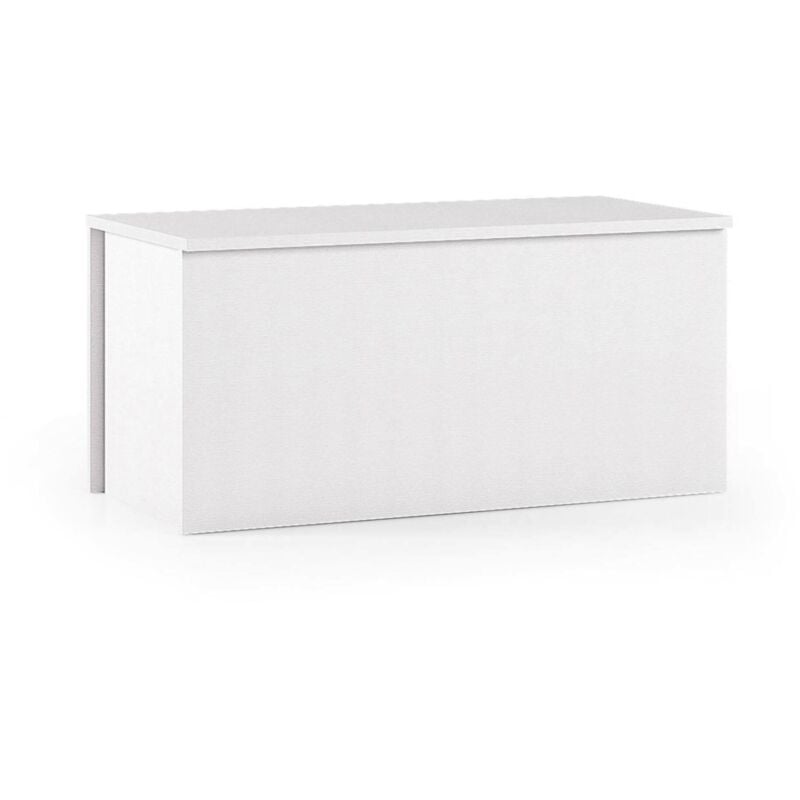 Dmora - Malle Miltonia, Grande boîte de rangement polyvalente, Commode moderne, Fabriqué en Italie, Cm 90x45h45, Blanc