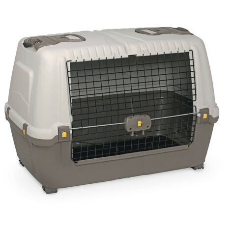 Dmora Starre Träger für Hunde oder Katzen in Polypropylen, tragbarer Käfig mit Matte, 100% Made in Italy, 99x60h68 cm, graue Farbe