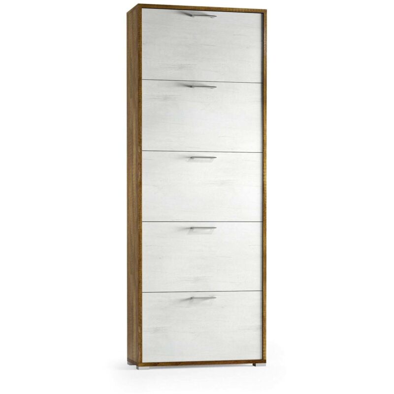 

Dmora Zapatero moderno con 5 puertas abatibles, 100% Made in Italy, Zapatero de entrada de doble profundidad, 67x28h183 cm, roble oscuro y color