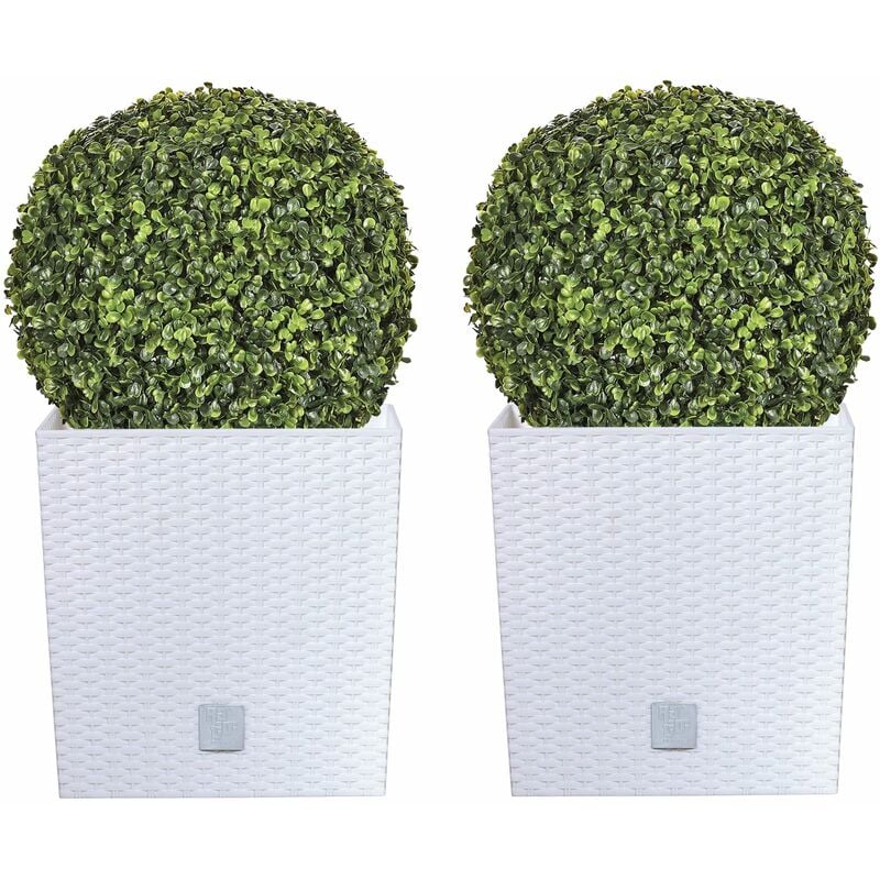 

Wellhome - Doble set de Maceta Rato 32 litros con cubilete para plantar en color blanco 33 x 33 x 33 cm + Bola de boj diámetro 36 cm