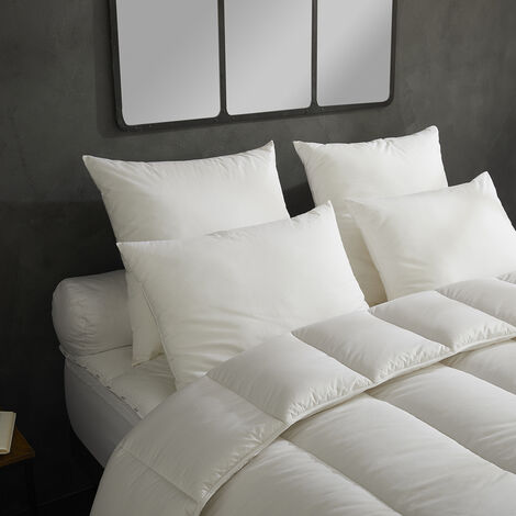 Dodo – Lot de 2 oreillers moelleux 60x60 – Enveloppe 100% coton – Garnissage polyester fibres creuses – Confort optimal pour dormir sur le ventre