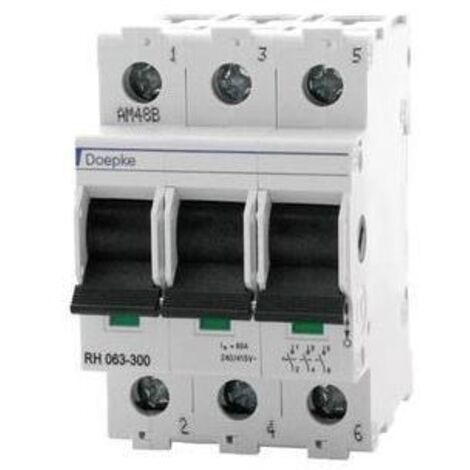 Doepke Hauptschalter RH 063-300