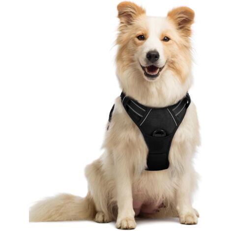 Dog Harness No Pull with 2 Leash Clips, Adjustable Soft Padded, Reflective Oxford No Choke Pet Vest with Easy Control Handle for Medium Sized Dogs, Black, M