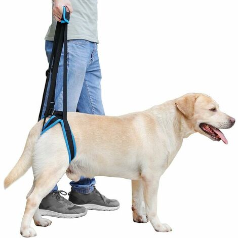 Dog Lift Support Harness - Dog Support Harness for Back Legs, Help Lift the Back Legs, Dog Rear Harness Support for Elderly, injured, Sick and Disabled Dogs (L)