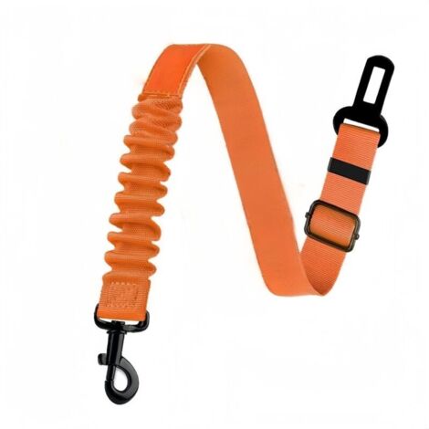 Dog safety harness