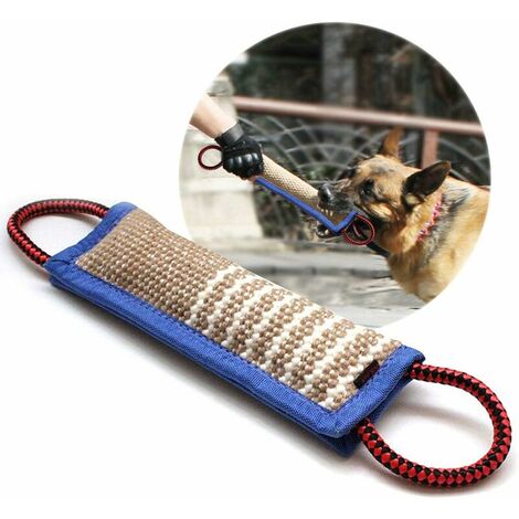 Dog hose cheap pipe toy