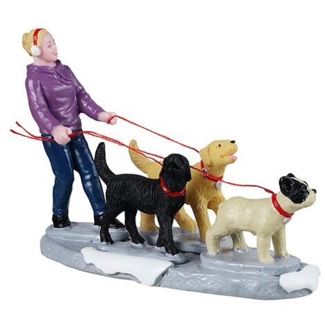 Dog Walker Cod. 42361