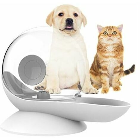 Dog Water Dispenser, Cat Gravity Drinker, Snail Shape, Automatic Cat Water Fountain, Dog Water Bowl Dispenser - Easy to See Water Level