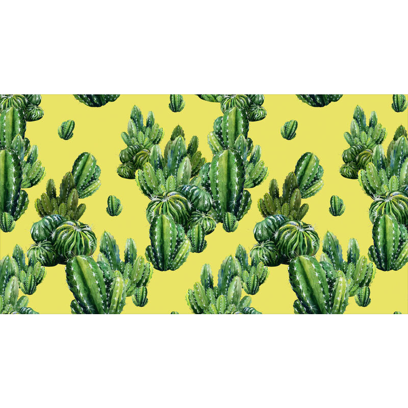 

Camino de cocina, 100% Made in Italy, Alfombra antimanchas con impresión digital, Camino antideslizante y lavable, Modelo Cactus - Brett, cm 100x52