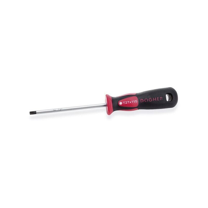 Dogher - Tournevis professionnel S2, Torx T25x100 mm 340-T25