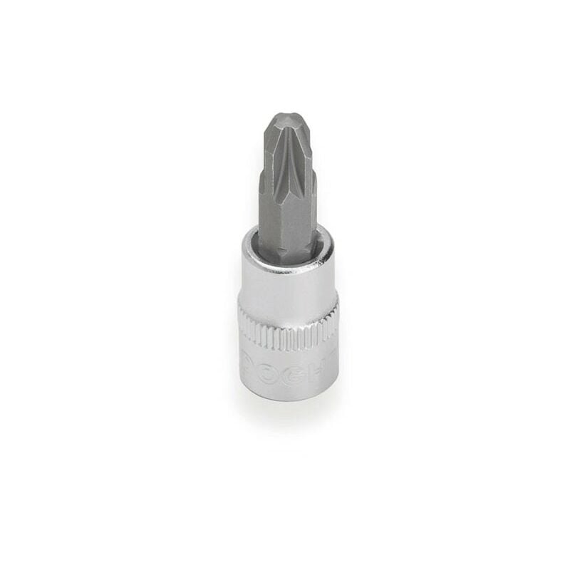 S2 1/4 PZ1 Tasse en dentelle Dogher 506-PZ1