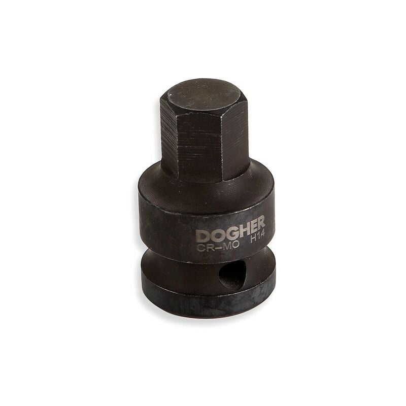 Dogher - Pointe hexagonale 1/2 CrMo HX8x40 5731-08