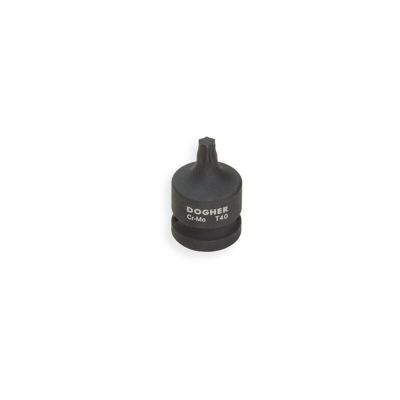 Dogher - Insert de puissance 1/2 CrMo avec pointe T40x40mm 574-T40