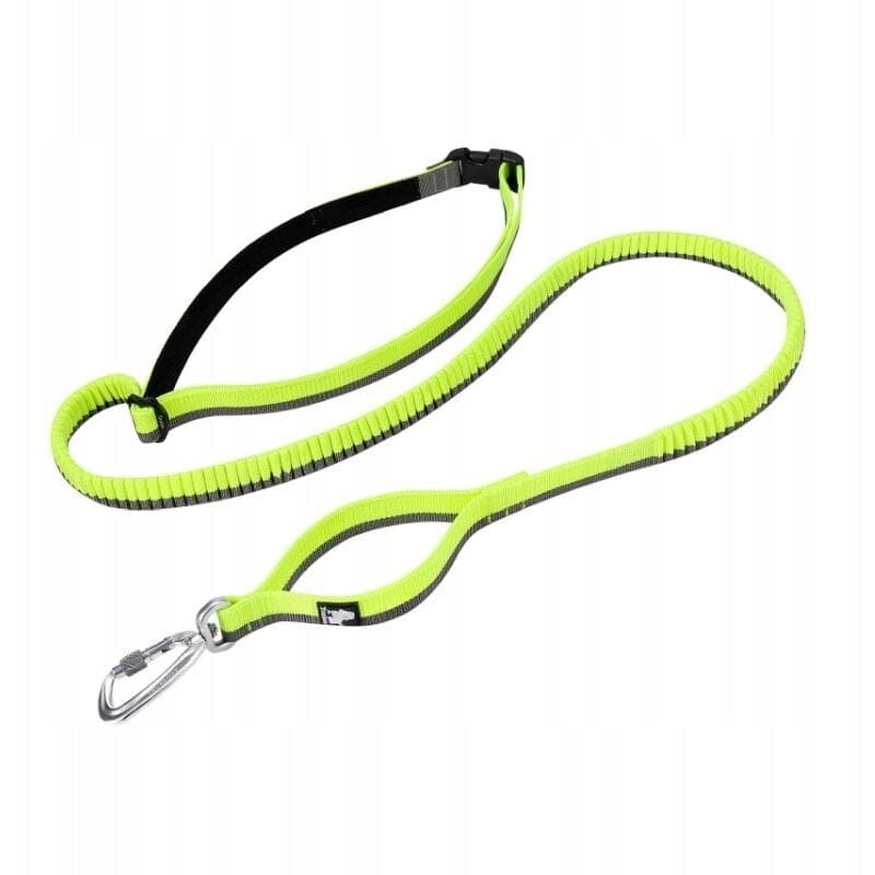 DOGTREKKING Hundeleine mit Ruckdämpfer STRONG L