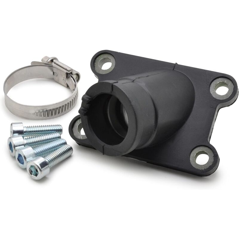 Dolaso - Pipe d'Admission 12 à 21mm Type Origine pour AM6 mbk Xlimit Xpower dt rs XP6-XPS Beta Rieju tzr Sherco pour Carburateur 12-14-16-17.5-19-21mm