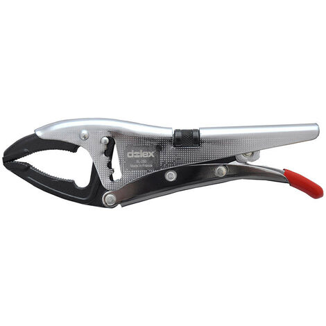 Dolex - Pince étau grande capacité serrage 310 mm Long. 250 mm becs longs - BL250