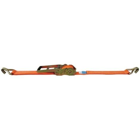DOLEZYCH Zurrgurt DIN EN 12195-2 Länge 6 m Breite 50 mm ( 4000365470 )