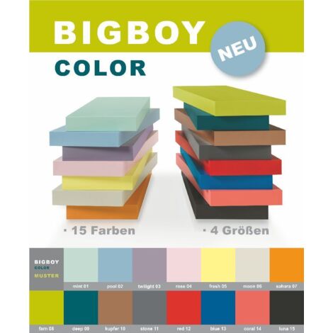 Dolle Regalboden Big Boy 57 x 25 cm, 50 mm, grau Regalboden