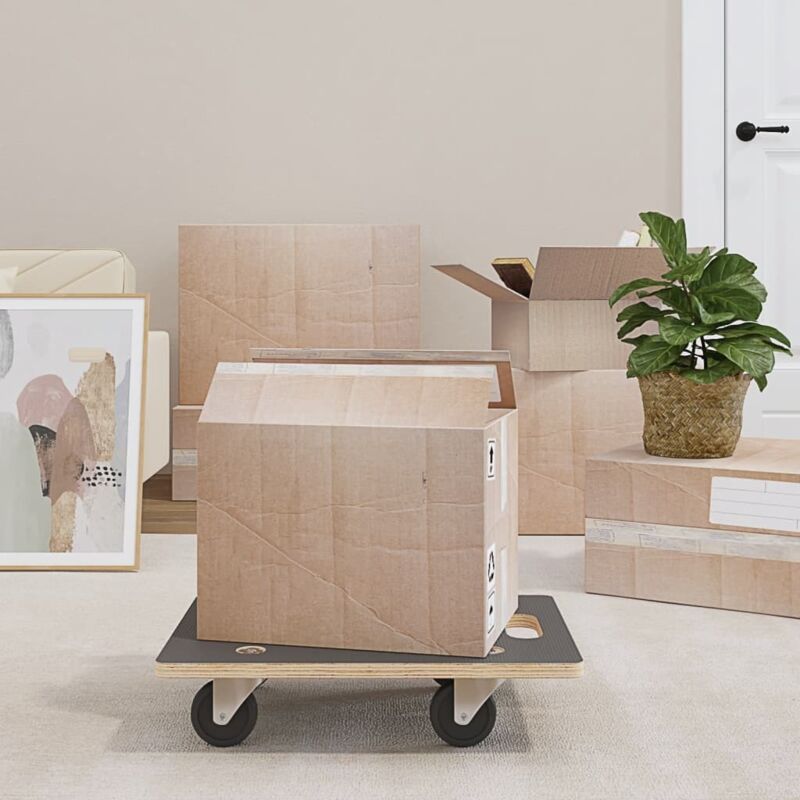 Vidaxl Dolly Trolleys 2 Pcs Rectangular 50X35X11.5 Cm, Grey