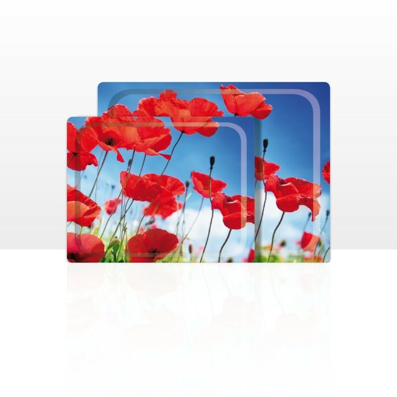 

Set de 2 bandejas (42 x 29 y 48 x 37 cm),. Diseño y fabricación española. - Don Hierro