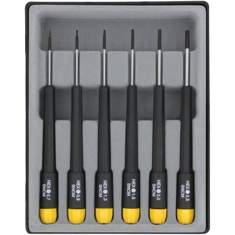 Donau Elektronik pour l'électronique et la mécanique de précision Jeu de tournevis 6 pièces 6 pans intérieurs