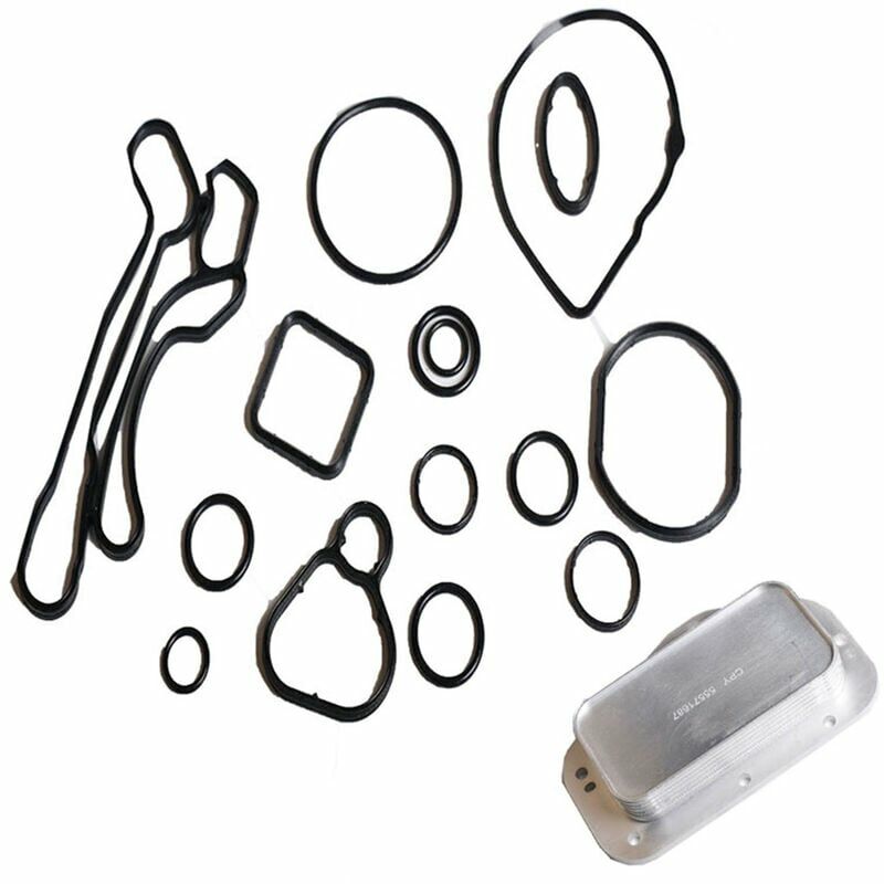15 Pezzi Guarnizione Radiatore Olio Motore + Rete
