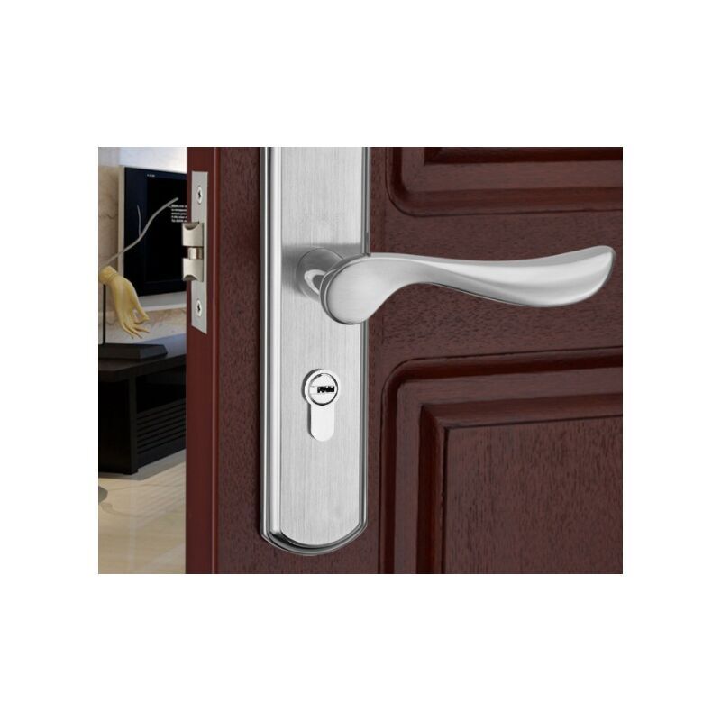 Door handle lever, Euro lever lock, 2 lever lock, cylinder, brass key, stainless steel (brushed steel)