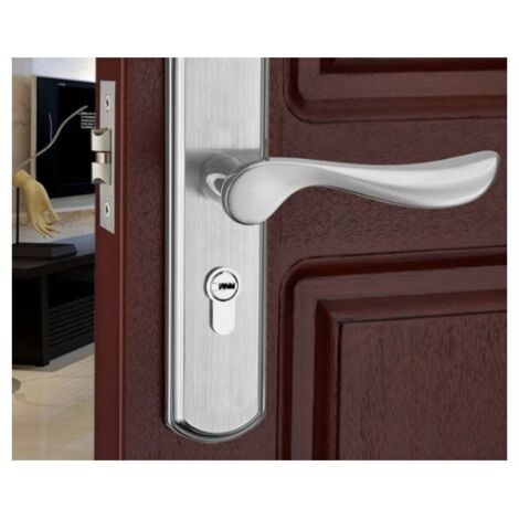 Door handle lever, Euro lever lock, 2 lever lock, cylinder, brass key, stainless steel (brushed steel)