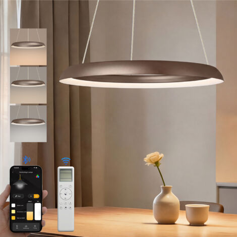 doporro Lampe de Plafond Plafonnier LED Triple Commande Hauteur Réglable Lampe de Nuit Suspension Lustre Salon Salle à Manger Chambre Café 400×400 MM 20W Luvina04