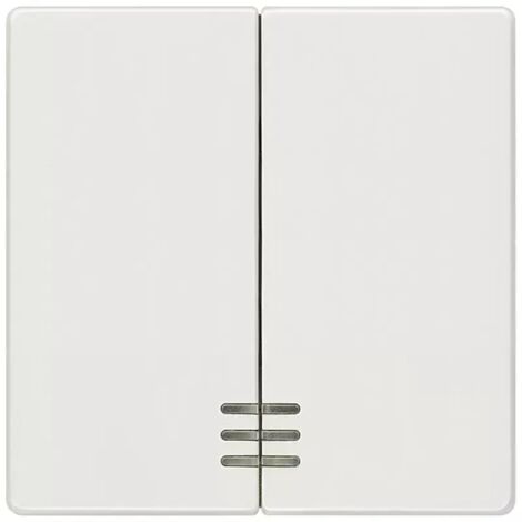 Doppelkontrollwippe Siemens 5TG6204, titanweiß