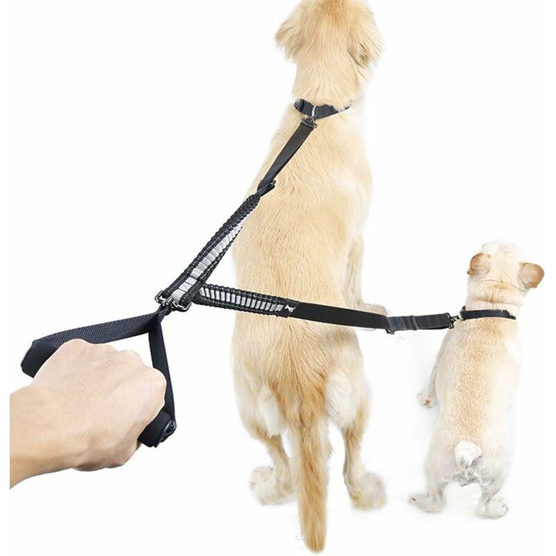 Doppelleine für 2 kleine, mittelgroße und große Hunde zum Spazierengehen und Trainieren(Schwarz)
