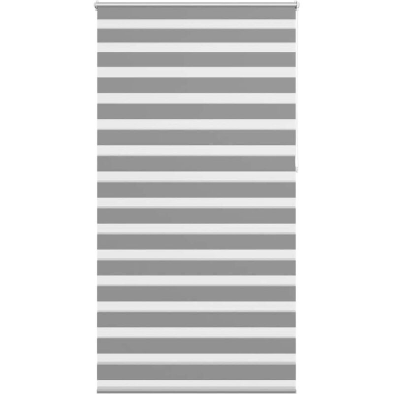 Doppelrollo 120 X 230 Cm Grau Vidaxl