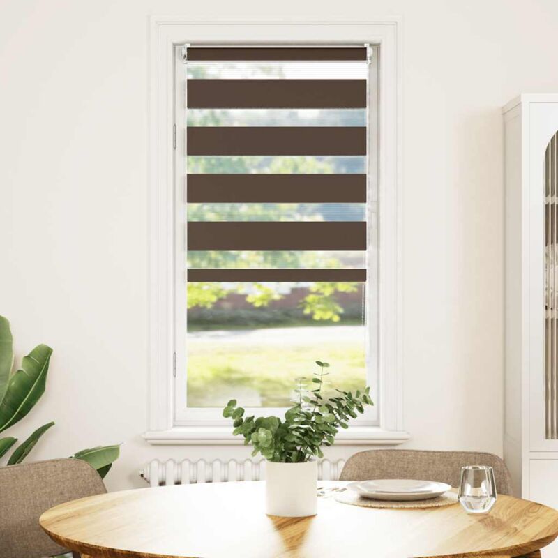 Doppelrollo 60 X 120 Cm Braun Vidaxl