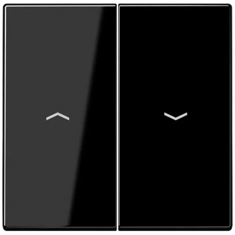 Doppelschlüssel für Jalousieschalter oder Taster BLACK JUNG LS 995 P SW