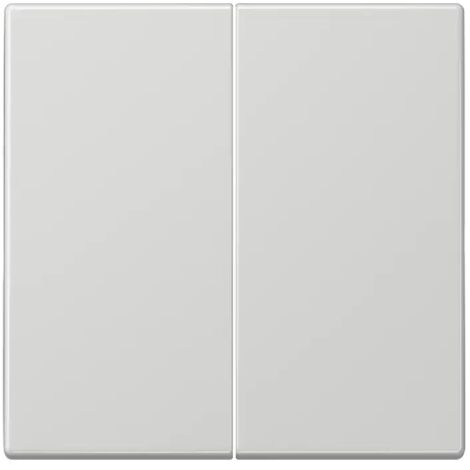 Doppelschlüssel für Schalter oder Taster GRAU GRAU JUNG LS 995 LG