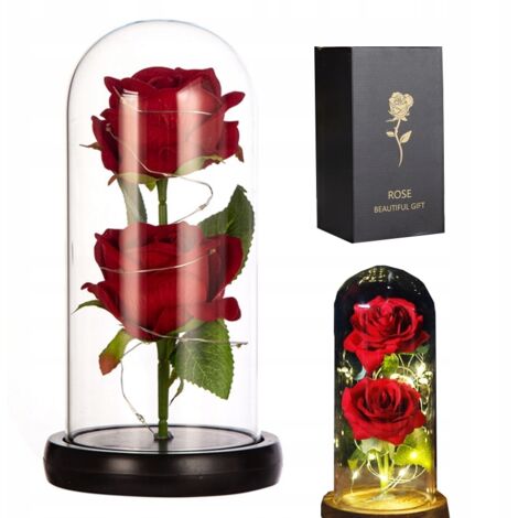 DOPPELTE EWIGE ROSE IM GLAS MIT LED-LICHT GESCHENK
