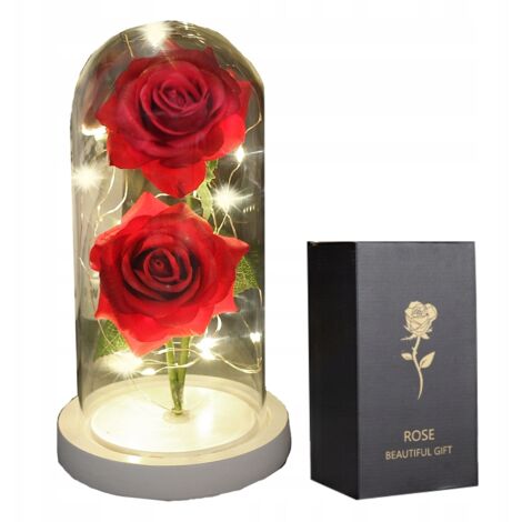 DOPPELTE EWIGE ROSE IM GLAS MIT LED-LICHT GESCHENK