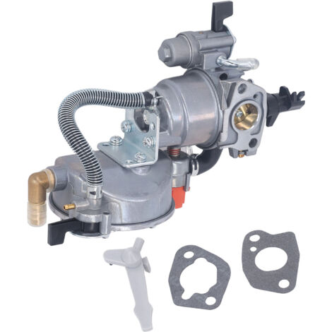 Doppelvergaser aus Aluminiumlegierung 168F 6,5 PS für Motoren, Benzin-/LPG-Umrüstsatz 220 V auf 110 V, 2–3 kW