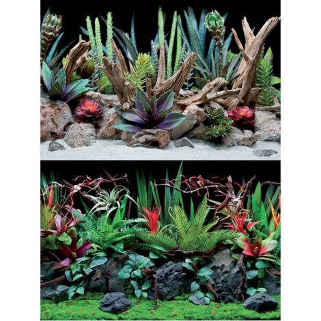 Doppio sfondo Flora blister 30x60 cm