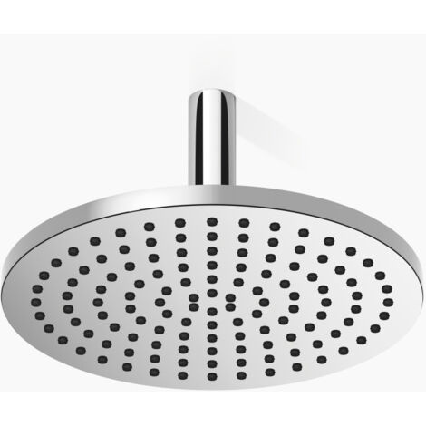 Dornbracht Regenbrause mit Deckenanbindung Serienspezifisch 28689970 chrom