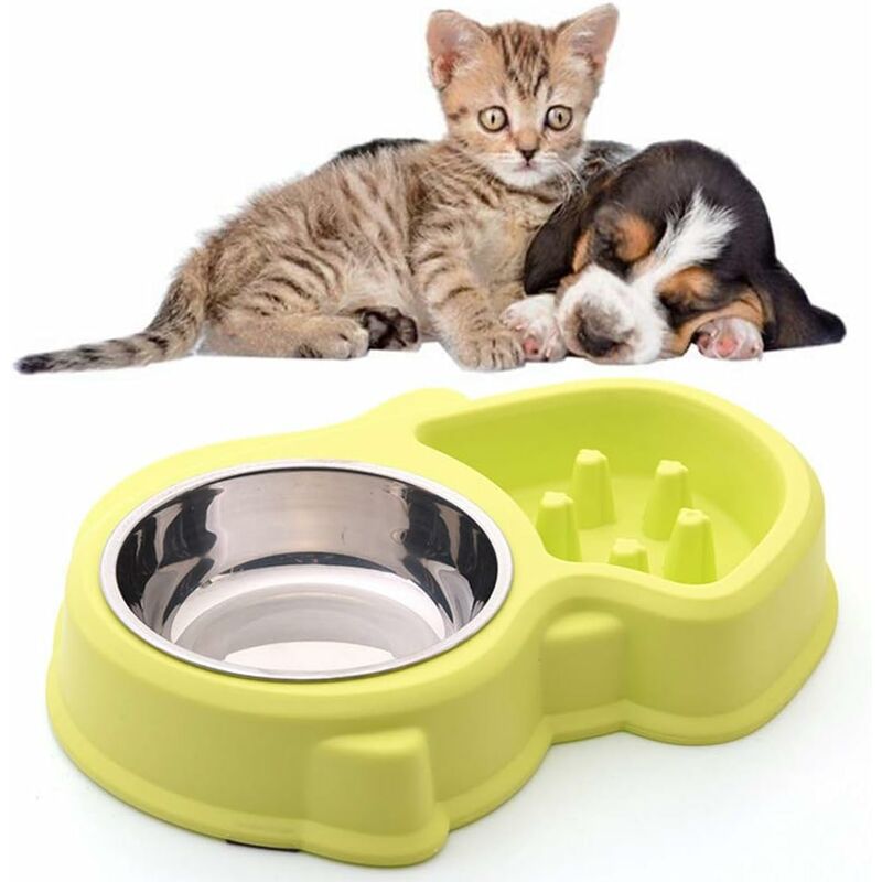 Osqi - Double Abreuvoir et Nourriture 1 Abreuvoir Inox et 1 Abreuvoir Anti Glouton pour Chats et Petits Chiens (Vert)