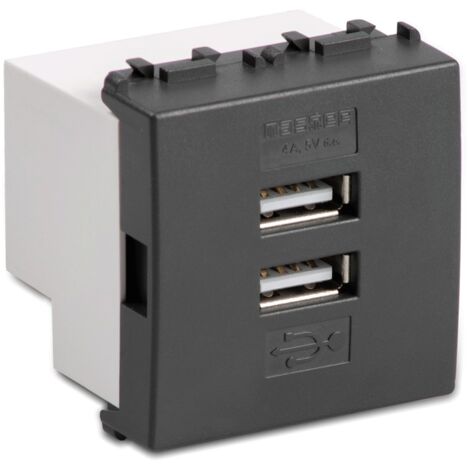 Double alimentation USB Master Mode 4A gris 31213.2