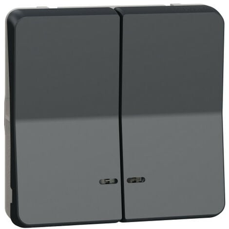 Double bouton-poussoir gris lumineux led mureva styl, composable, Ref.MUR35228