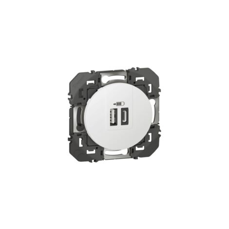 Double chargeur USB 1 TypeA + 1 TypeC 3A Dooxie - Legrand - Aluminium - 600443