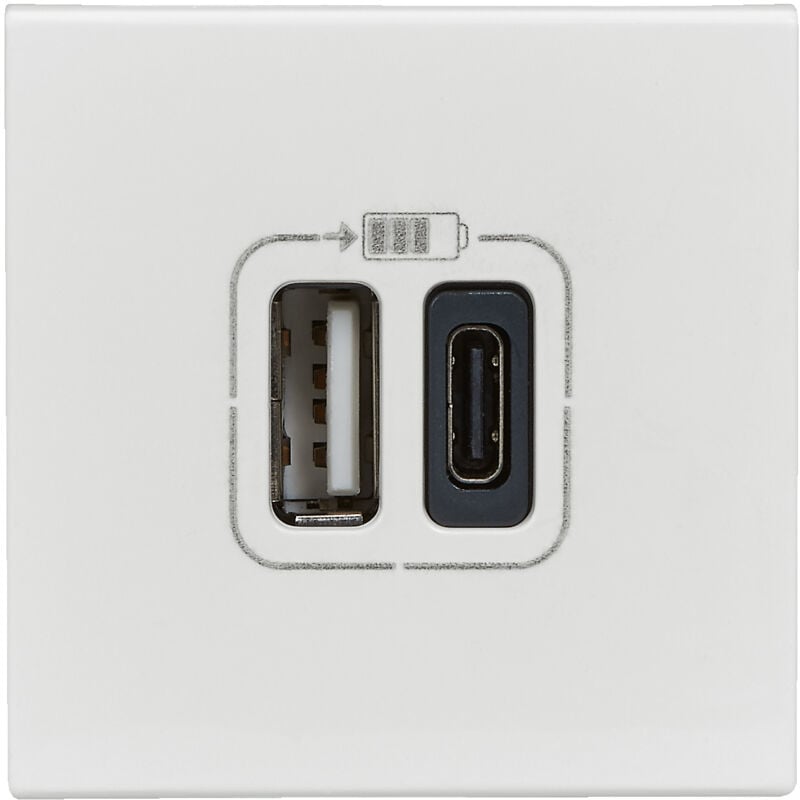 Prise double usb Type-A + Type-C Mosaic 3A 2 modules - Blanc - Legrand