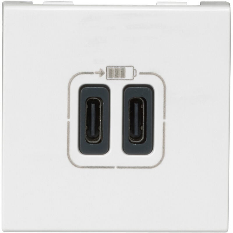 Legrand - Prise double usb Type-C Mosaic 3A 2 modules - Blanc