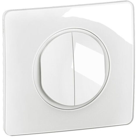 Double interrupteur lumineux Céliane 10AX complet Blanc (CG3001)