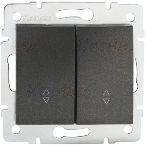 Double Interrupteur Va-et-Vient - Graphite - 2 Leviers - Encastré - 71x71mm