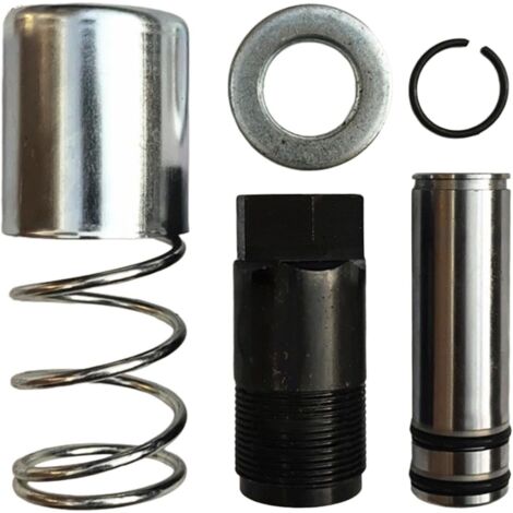 Double Pompe Horizontale à Piston, pièces de Rechange polyvalentes, Pompe à à vérin Horizontal hydraulique Robuste pour Jeu de Joints de Voiture, b